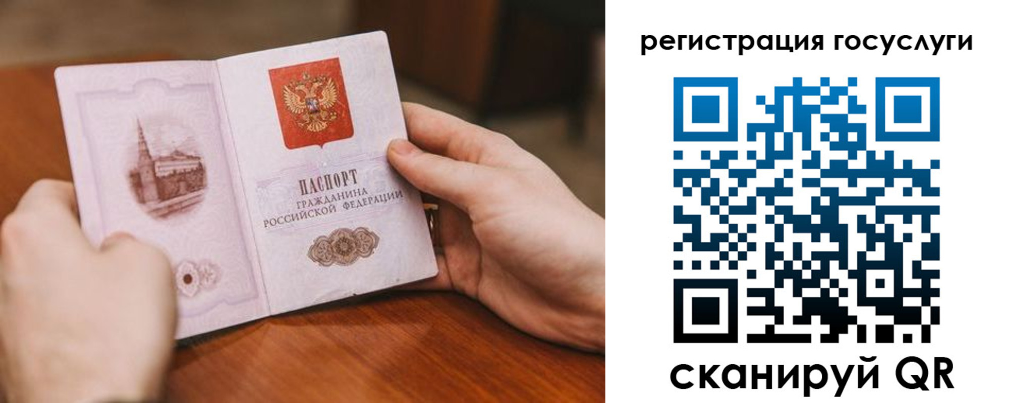 прописка поиск в Черняховске